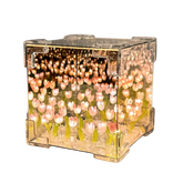 Espelho de tulípas🌷